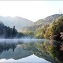 세량제 이미지
