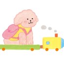 봄, 여름 살롱 이미지