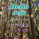 (유)제주올투어 | 제주 사려니숲길 사람 없는 시간 추천! 아침 산책 후 오는정김밥 포장