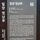 밀양 금시당 매화와 밀양향교 이미지