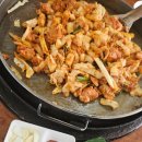 봄나드리투어 이미지