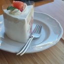 서촌카페 마농트로포 자몽케이크 먹고 온 후기 (내돈내산)