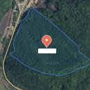 보은공인중개사사무소 이미지