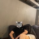 7월은 너무 더워
