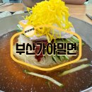가야한방밀면 | [경기/안양] 안양 만안구 맛집 내돈내산 부산가야밀면 후기