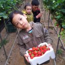 다우 농장 이미지