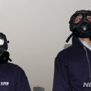 마스크쇼핑 이미지