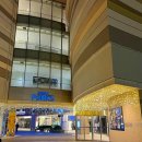 오사카 호텔 케이한 난바 그란데 후기 위치 조식 트윈룸 할인 예약