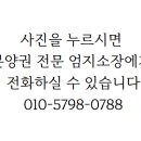 엄지공인중개사사무소 이미지