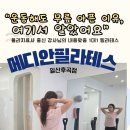 성일에너지 | 진짜 재활필라테스는 다르더라고요, 일산 메디안필라테스 1:1 재활 필라테스 솔직후기