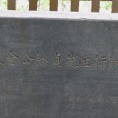 김유정 행장비 이미지