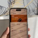 성장 | 인스타 팔로워 늘리는법 셀프 성장 후기