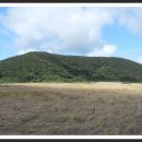 애월다래네 이미지