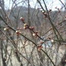 발산리마을회관 이미지