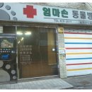 엄마손 동물병원 이미지