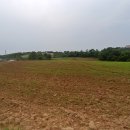 장수원목장 이미지