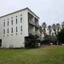 게스트하우스장 | 제주 애월의 핫플레이스, 파티와 힐링을 한 번에 즐기는 제주도 게스트하우스 끌림 365 혼여 후기