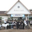 통도승마랜드 이미지