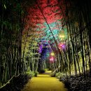 구례의길(섬진강길) 이미지