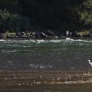 청마농장 이미지