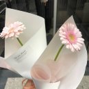 스카이타워 | 진주 충무공동 꽃집 ‘꽃, 너에게’ 연주회 거베라 한 송이 후기