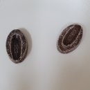 지바스토어