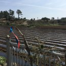 성준농장 이미지