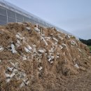 진성하나마트 이미지