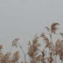 소뚝도랑 둘레길 이미지