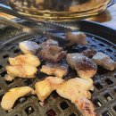 꿀품은뒷고기 이미지