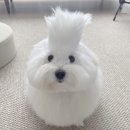 신명나리 이미지