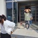 마령초등학교 이미지