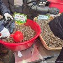 금백만 | 대림시장 맛집 금백만식당 후기 | 차이나타운보다 더 중국스러웠다