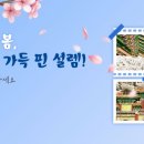 제물량로232번길 이미지