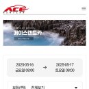 에이스카 | 제주도렌트카 고민 끝! 에이스렌트카 이용 후기 솔직 리뷰