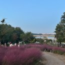 내리1길 | 평택 안성 가볼만한곳 핑크뮬리명소 안성팜랜드 내리문화공원 바람새마을