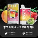 붐전자담배