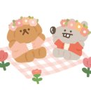 남나리전복 이미지