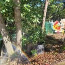 곡성-021 | 230928~1001, 올해의 서른 두번째 캠핑 in 곡성(2일차)