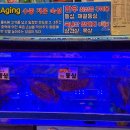 이제이상사 이미지