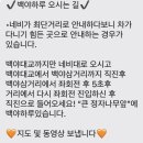 여수독채펜션 백야하루 이미지