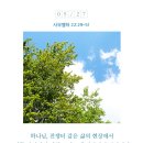 김집사