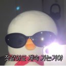 발루 이미지