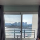 바닷가 하얀목화밭 이미지