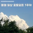 쩡이 일상 블챌 포토덤프 7주차