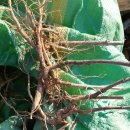 임실농장 이미지