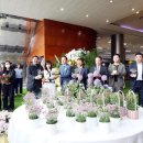 더 호프 이미지