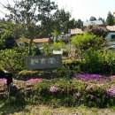 삼다수숲길 주차장 이미지