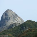 학동곶감마을 이미지