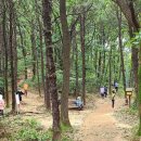 봉서산약수 이미지